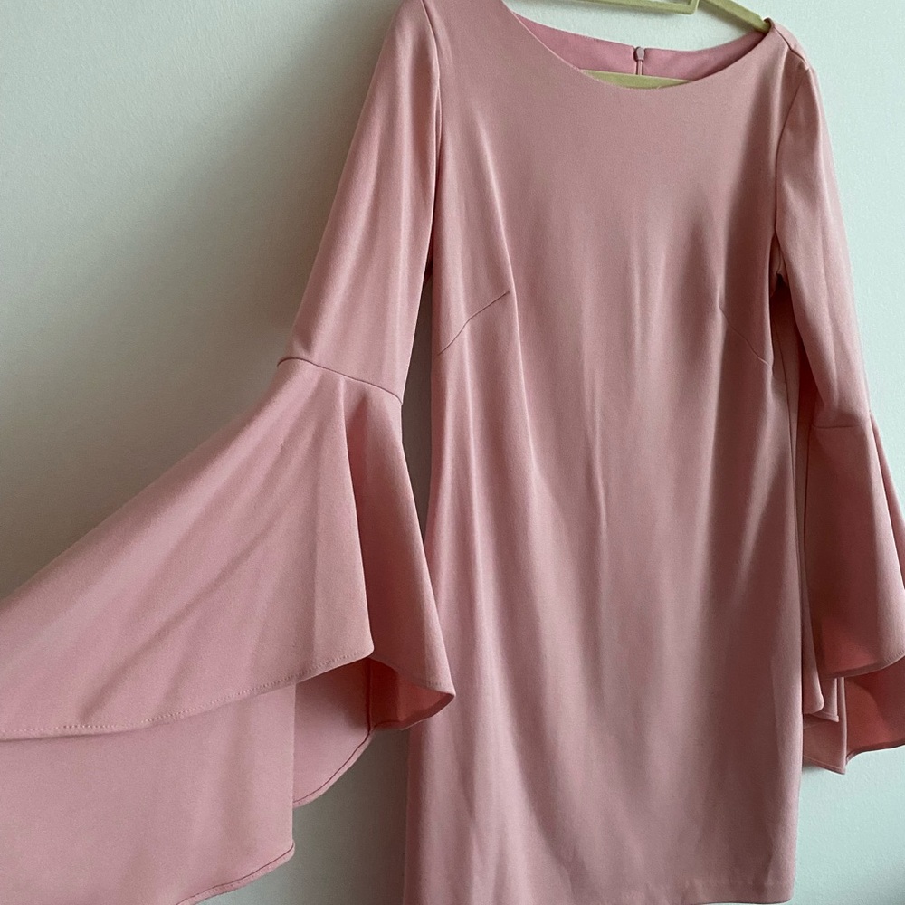 NEW JayGodfrey Pink Dress with Flowy Sleeves Size 10